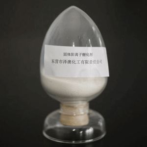 東營市澤澳化工有限責任公司